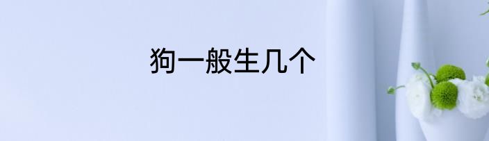 狗一般生几个