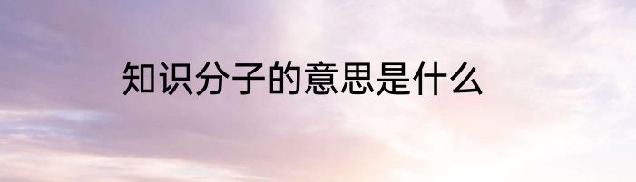 知识分子的意思是什么