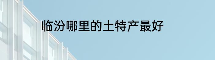 临汾哪里的土特产最好