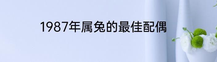1987年属兔的最佳配偶
