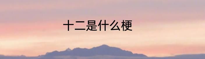 十二是什么梗