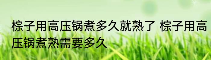 棕子用高压锅煮多久就熟了 棕子用高压锅煮熟需要多久