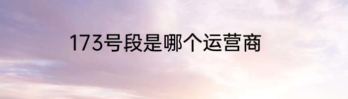 173号段是哪个运营商