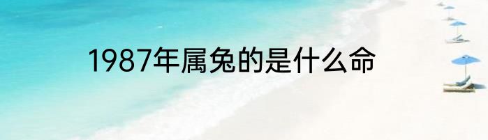 1987年属兔的是什么命