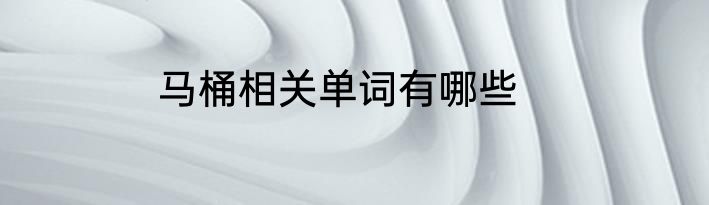 马桶相关单词有哪些