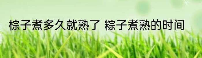 棕子煮多久就熟了 粽子煮熟的时间