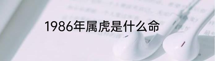 1986年属虎是什么命