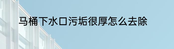 马桶下水口污垢很厚怎么去除