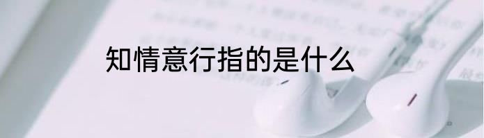 知情意行指的是什么