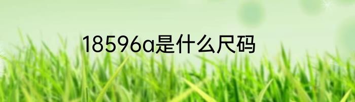 18596a是什么尺码