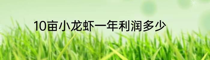 10亩小龙虾一年利润多少