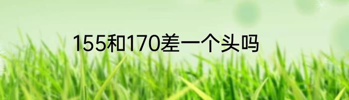 155和170差一个头吗