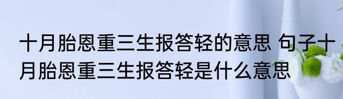 十月胎恩重三生报答轻的意思 句子十月胎恩重三生报答轻是什么意思