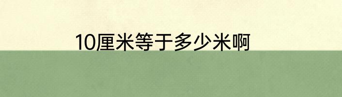 10厘米等于多少米啊