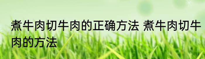 煮牛肉切牛肉的正确方法 煮牛肉切牛肉的方法
