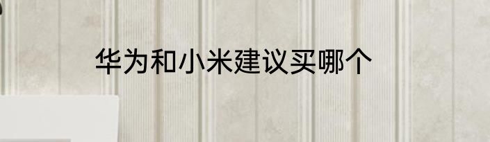 华为和小米建议买哪个