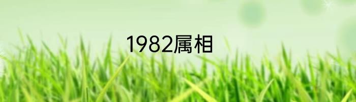 1982属相