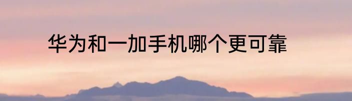 华为和一加手机哪个更可靠