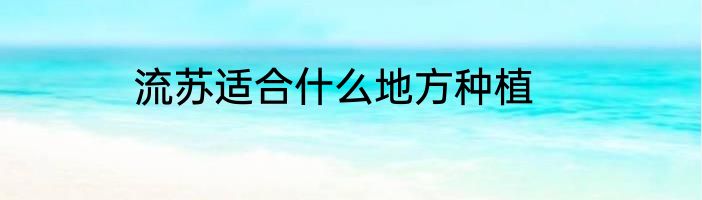 流苏适合什么地方种植