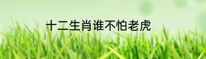 十二生肖谁不怕老虎