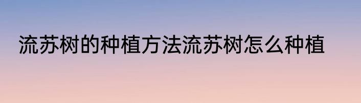 流苏树的种植方法流苏树怎么种植