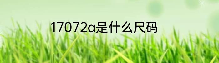 17072a是什么尺码