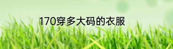 170穿多大码的衣服