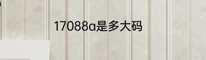 17088a是多大码