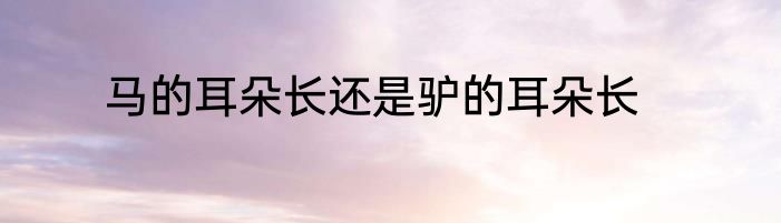 马的耳朵长还是驴的耳朵长