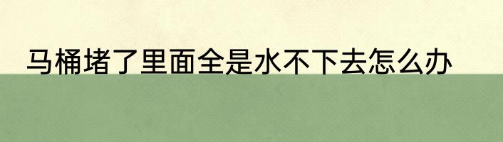 马桶堵了里面全是水不下去怎么办