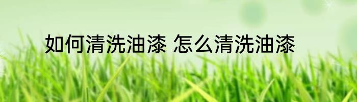 如何清洗油漆 怎么清洗油漆