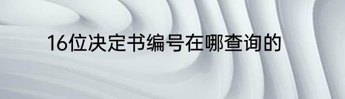 16位决定书编号在哪查询的