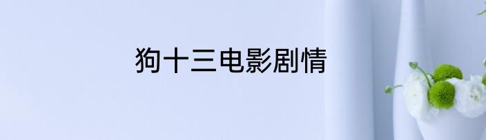 狗十三电影剧情