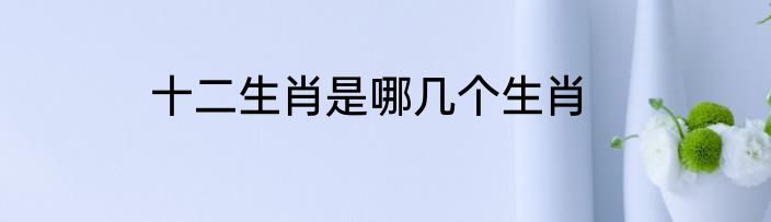 十二生肖是哪几个生肖