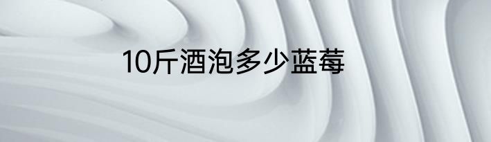10斤酒泡多少蓝莓