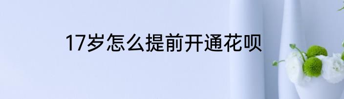 17岁怎么提前开通花呗