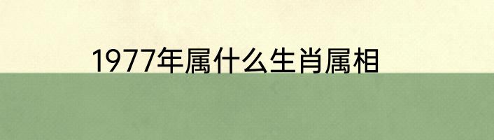 1977年属什么生肖属相