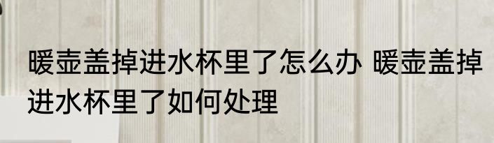 暖壶盖掉进水杯里了怎么办 暖壶盖掉进水杯里了如何处理