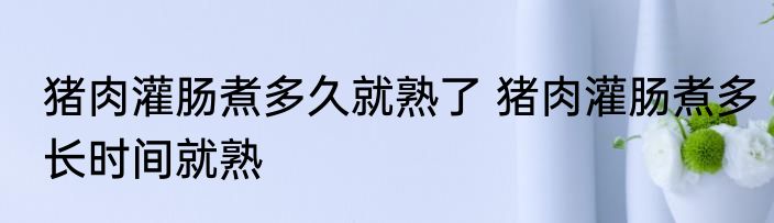 猪肉灌肠煮多久就熟了 猪肉灌肠煮多长时间就熟