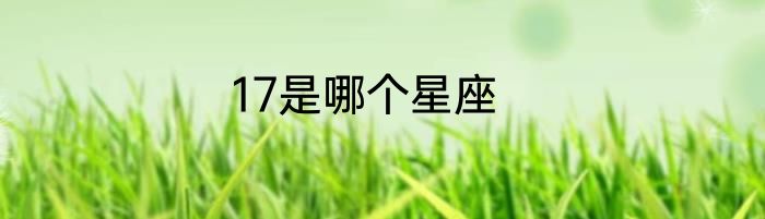 17是哪个星座
