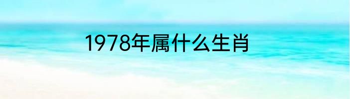 1978年属什么生肖