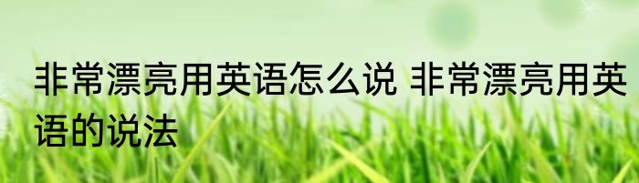 非常漂亮用英语怎么说 非常漂亮用英语的说法
