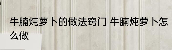 牛腩炖萝卜的做法窍门 牛腩炖萝卜怎么做