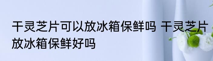 干灵芝片可以放冰箱保鲜吗 干灵芝片放冰箱保鲜好吗