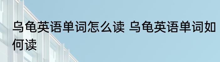 乌龟英语单词怎么读 乌龟英语单词如何读