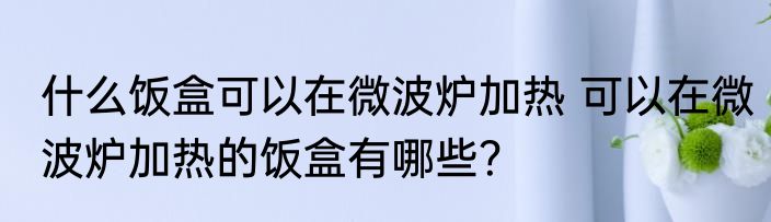什么饭盒可以在微波炉加热 可以在微波炉加热的饭盒有哪些？