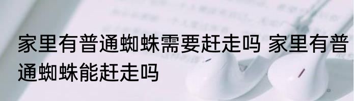 家里有普通蜘蛛需要赶走吗 家里有普通蜘蛛能赶走吗