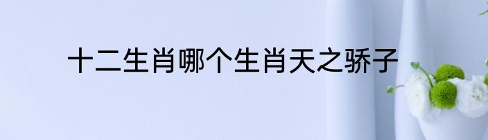 十二生肖哪个生肖天之骄子