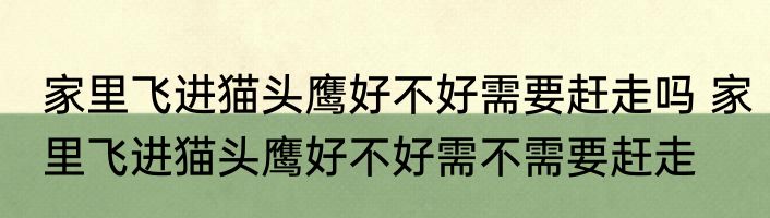 家里飞进猫头鹰好不好需要赶走吗 家里飞进猫头鹰好不好需不需要赶走
