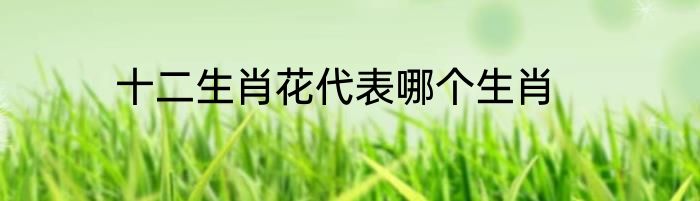 十二生肖花代表哪个生肖